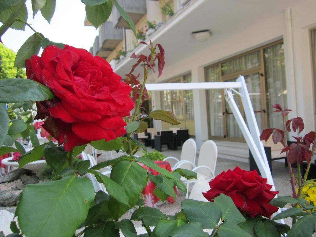Hotel Garden Bellaria-Igea Marina Dış mekan fotoğraf
